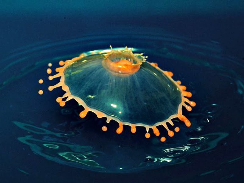 Irving's colored water droplet photography.