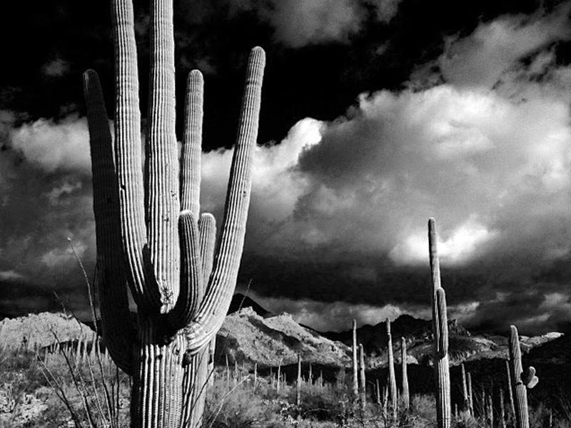 Sabino Canyon, Arizona.