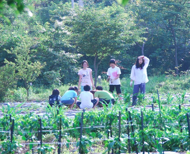 The kids grow much of what they eat. They toil in the fields daily and know what it takes to put food on the table.