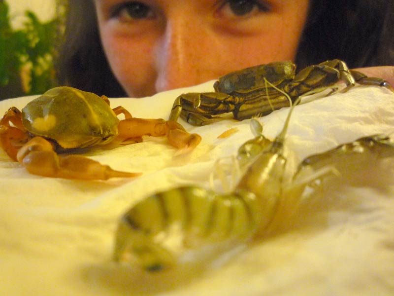 Some of us were ready to munch... A bit too ready, by the look on Alex’s face. She actually made me a little nervous with her glee over crunching the little critters. Geez...