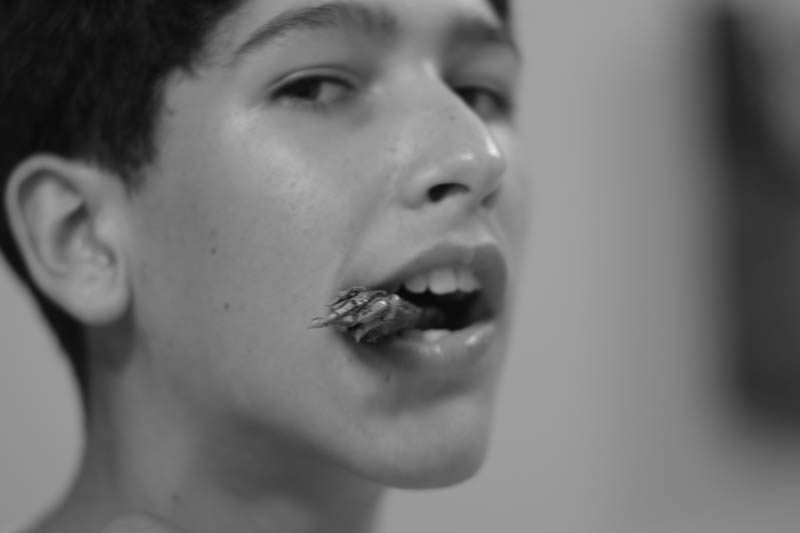 Austin posed for this, but would no chew. Adam... forget about it. I can barely get him to eat regular food. Adam started yelling when he heard Alex crunching the first one.
