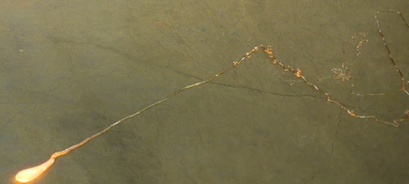 I think she just wanted to see how awesome it would look slithering on the ground!