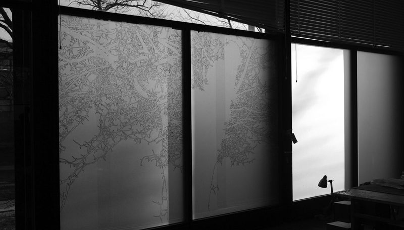 Amanda Wills: Night tree tracing on acetate...